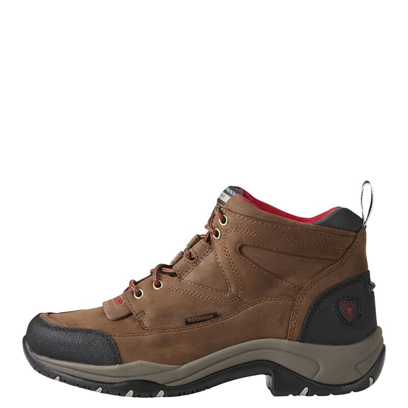 Ariat Terrain Waterproof - Outdoor Schoenen Bruin Dames - 16010-713